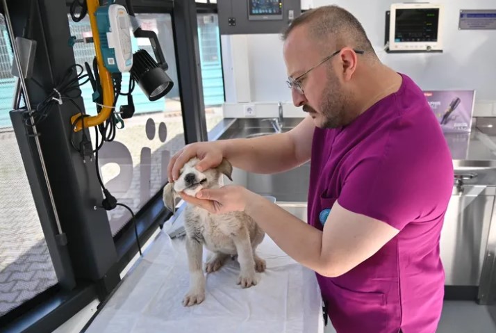 Manisa’da Vetbüs Projesi Uygulamaya Girdi