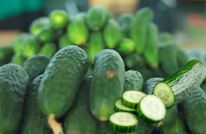 ABD’de Salmonella Tehlikesi: Bedner Growers Salatalıkları Geri Çağrılıyor