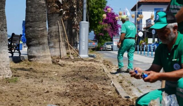 Milas Belediyesi, Güllük’te Çalışmalarını Hızlandırdı
