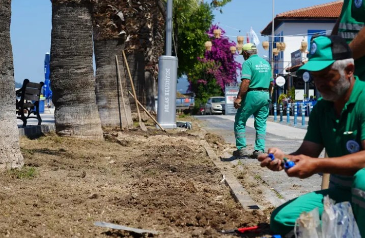 Milas Belediyesi, Güllük’te Çalışmalarını Hızlandırdı