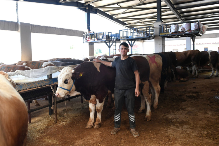 Başkan Aydın’dan Kurban Pazarı Ziyareti