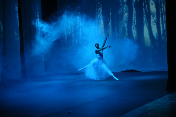 Muğla’da Yıl Sonu Bale Resitali Beğeni Topladı