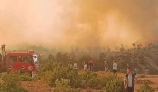 Orman Yangını Dumanı Hayatı Tehdit Ediyor Orman Yangını Dumanı Hayatı Tehdit Ediyor