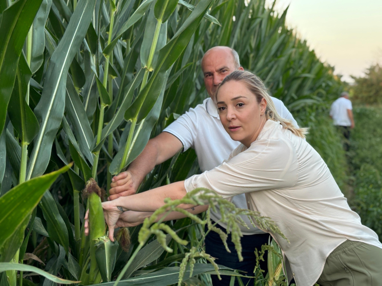 CHP Edirne İl Başkanı Taybıllı’dan Çiftçi Krizi Uyarısı