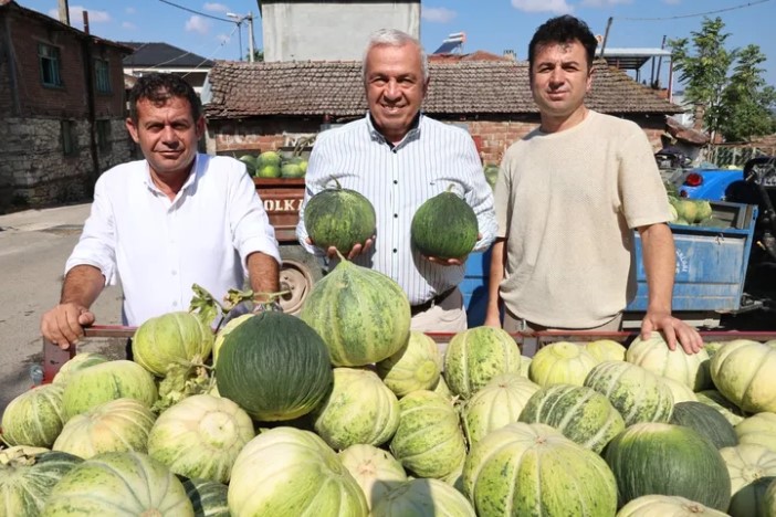 Bursa Nilüfer’de Konaklı Kavunu Üretiminde İki Kat Artış