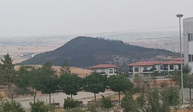 Keşan Sivritepe İçin Doğa Yeniden Canlanacak mı?