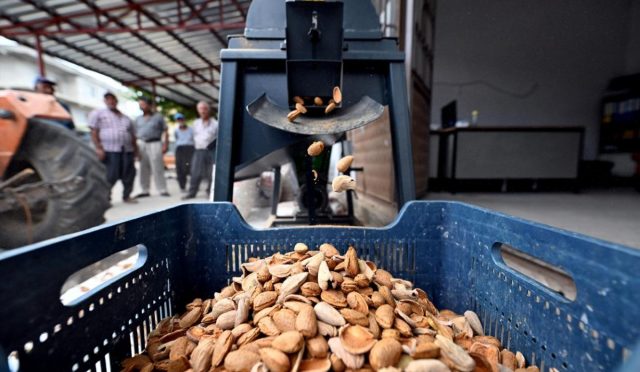 Mersin Büyükşehir, Üreticiyi Desteklemeye Devam Ediyor Mersin Büyükşehir, Üreticiyi Desteklemeye Devam Ediyor