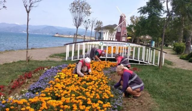 Ordu’da Kent Estetiğine Büyükşehir Katkısı Ordu’da Kent Estetiğine Büyükşehir Katkısı