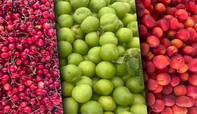 Tarım-ÜFE’de Yıllık Zirve Meyvelerde, Aylık Düşüş Tropiklerde