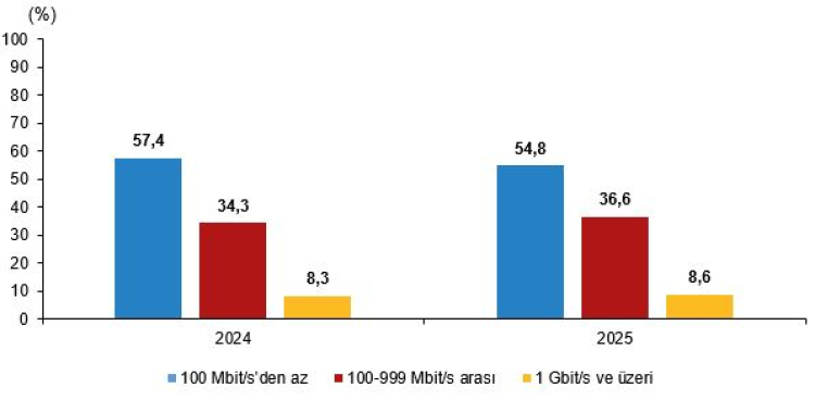Dijitalleşmede Sıçrama: İşletmelerin ,5’i Web Sitesi Sahibi