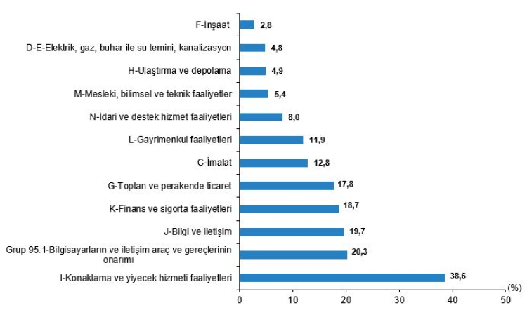 Dijitalleşmede Sıçrama: İşletmelerin ,5’i Web Sitesi Sahibi