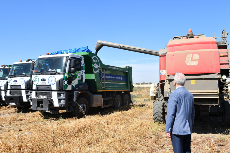 Belediye Projesiyle Ayçiçeği Hasadı Başladı Belediye Projesiyle Ayçiçeği Hasadı Başladı
