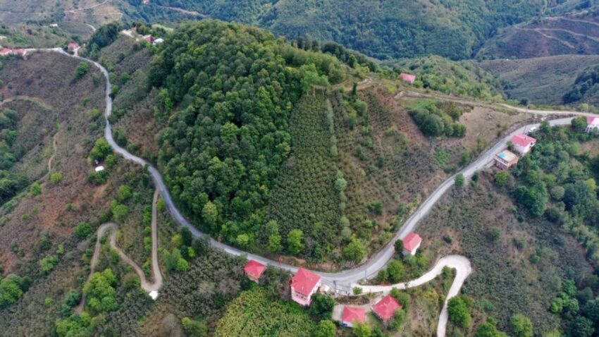 Ünye Pelitliyatak’ta Mutlu Son Sevinci