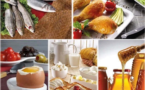 Türk Gıdaları Dünya Sofralarında Lider Konumda