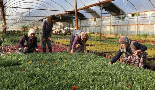 Muğla’da kadın üreticilerle güçlü bir gelecek inşa ediliyor Muğla’da kadın üreticilerle güçlü bir gelecek inşa ediliyor