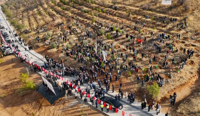 Malatya’da Deprem Şehitleri Anısına Hatıra Ormanı Yenileniyor Malatya’da Deprem Şehitleri Anısına Hatıra Ormanı Yenileniyor