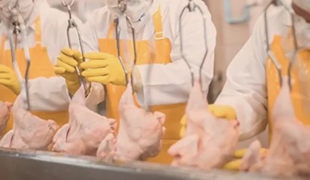 Filipinler’e Kanatlı Et ve Su Ürünleri İhracatı Başladı