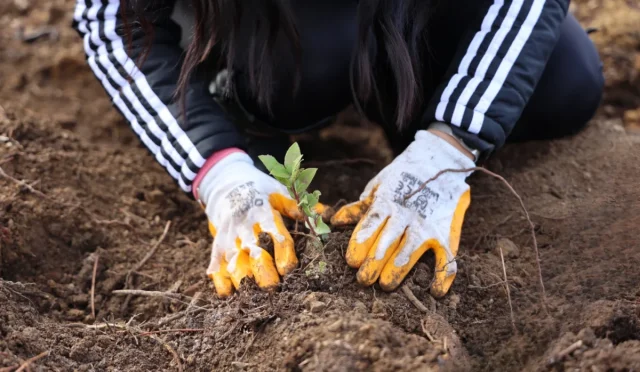 Uludağ Elektrik Kağıtsız Faturayla Çevreyi Koruyor