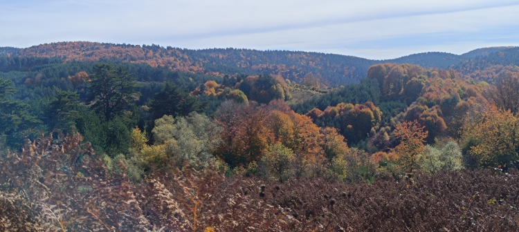 Bilecik Bozcaarmut’ta Sonbaharın Büyüleyici Renkleri Bilecik Bozcaarmut’ta Sonbaharın Büyüleyici Renkleri