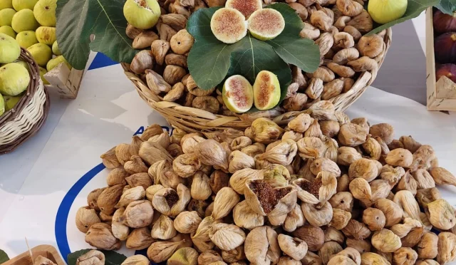 Kuru İncirde İhracat Tarihi Rekor Kırdı