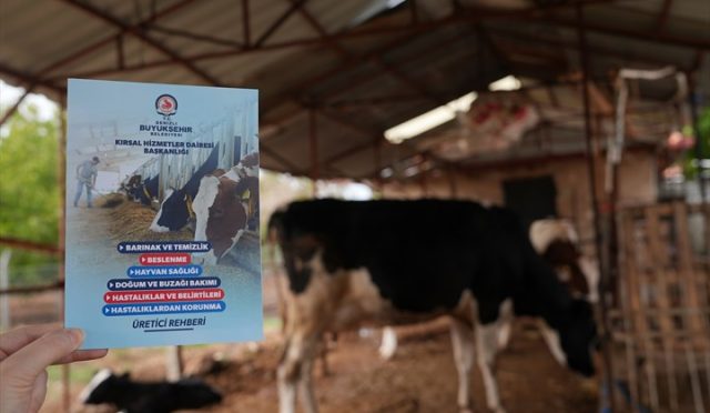 Denizli Büyükşehir’in Veteriner Danışmanlığı Üreticilerden Tam Not Aldı
