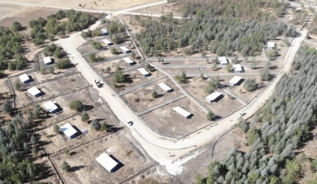 Edirne’de Sokak Hayvanları İçin Merhametli ve Güçlü Adımlar Edirne’de Sokak Hayvanları İçin Merhametli ve Güçlü Adımlar