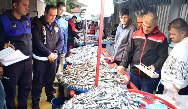 Yenişehir Zabıtası’ndan balık pazarına denetim