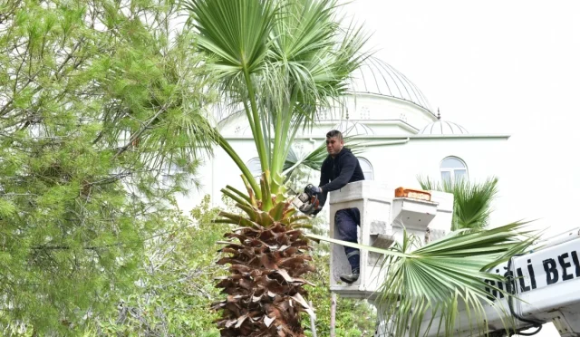 İzmir Çiğli Sonbahara Hazırlanıyor İzmir Çiğli Sonbahara Hazırlanıyor