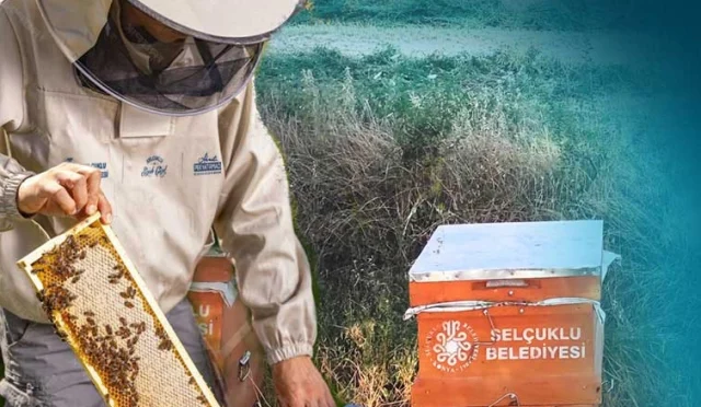 Konya Selçuklu Arıcılığı Destekliyor