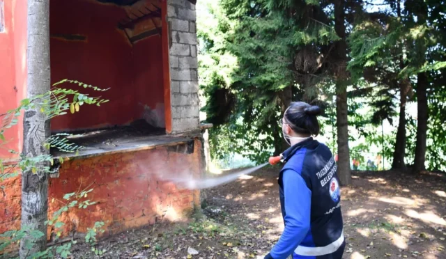 Trabzon’da Kahverengi Kokarca ile Yoğun Mücadele Başlatıldı Trabzon’da Kahverengi Kokarca ile Yoğun Mücadele Başlatıldı