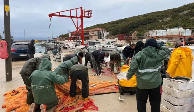 Edirne Mecidiye’de kara kefalde uzun yıllar sonra bereket