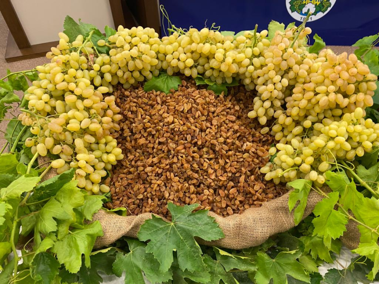 Egeli İhracatta Artış Pariteyle Desteklendi! Egeli İhracatta Artış Pariteyle Desteklendi!