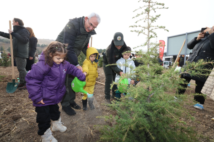 11 Kasım’da Milyonlarca Fidan Toprakla Buluşacak 11 Kasım’da Milyonlarca Fidan Toprakla Buluşacak