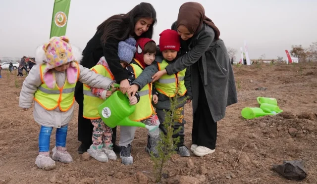 11 Kasım’da Milyonlarca Fidan Toprakla Buluşacak
